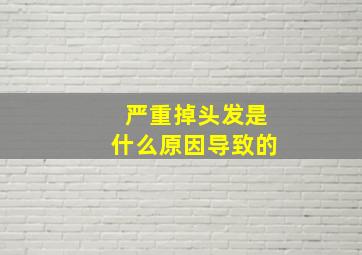 严重掉头发是什么原因导致的