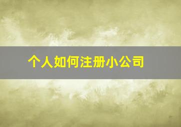 个人如何注册小公司 