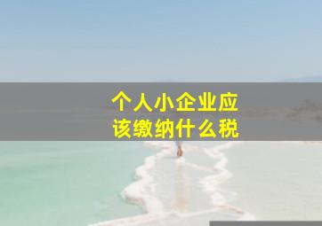 个人小企业应该缴纳什么税