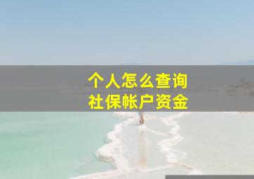 个人怎么查询社保帐户资金