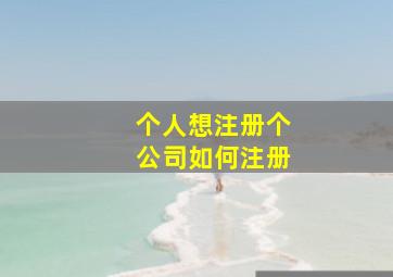 个人想注册个公司如何注册