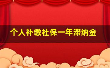 个人补缴社保一年滞纳金