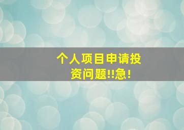 个人项目。申请投资问题!!急!