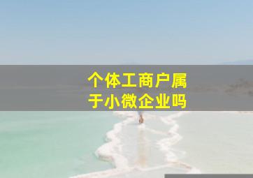 个体工商户属于小微企业吗