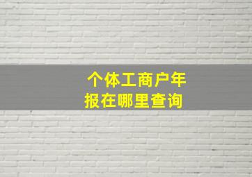 个体工商户年报在哪里查询 