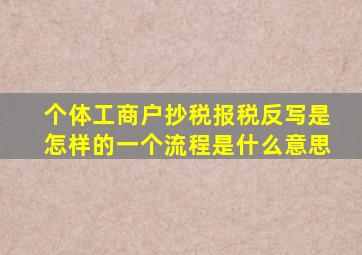 个体工商户抄税报税反写是怎样的一个流程,是什么意思