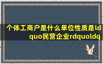 个体工商户是什么单位性质。是“民营企业”、“其他企业”、还是“...