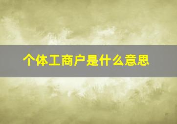 个体工商户是什么意思