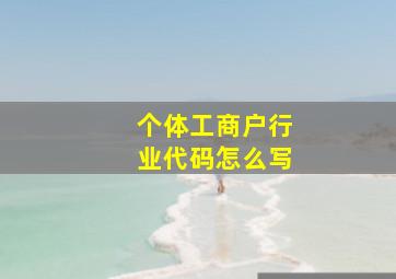 个体工商户行业代码怎么写