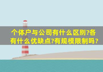 个体户与公司有什么区别?各有什么优缺点?有规模限制吗?