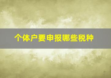 个体户要申报哪些税种