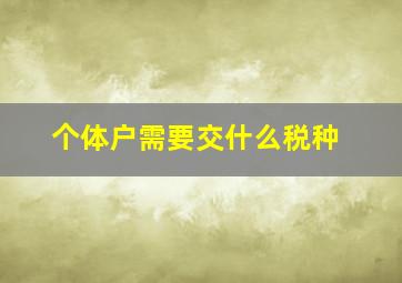 个体户需要交什么税种