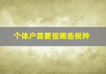 个体户需要报哪些税种