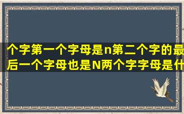 个字第一个字母是n第二个字的最后一个字母也是N两个字字母是什么