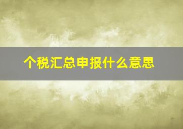 个税汇总申报什么意思