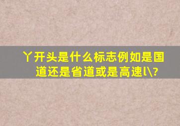 丫开头是什么标志,例如是国道还是省道。或是高速l\?