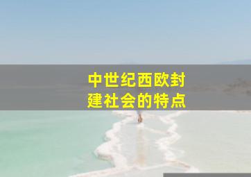 中世纪西欧封建社会的特点