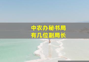 中农办秘书局有几位副局长