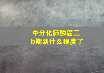 中分化肺鳞癌二b期到什么程度了