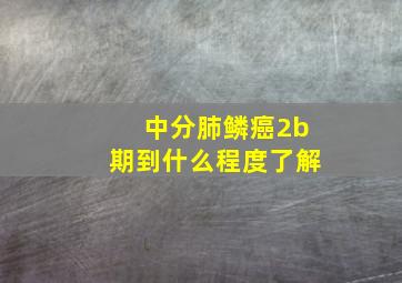 中分肺鳞癌2b期到什么程度了解