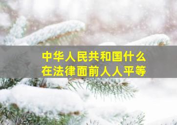 中华人民共和国什么在法律面前人人平等