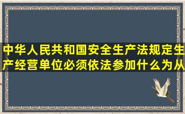 中华人民共和国安全生产法规定生产经营单位必须依法参加什么为从业...