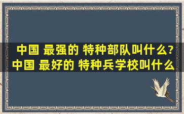 中国 最强的 特种部队叫什么?中国 最好的 特种兵学校叫什么?