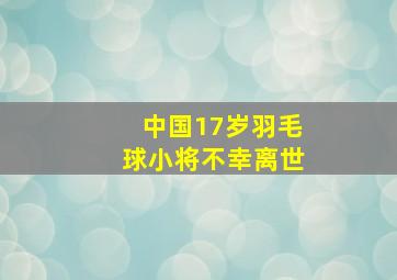 中国17岁羽毛球小将不幸离世