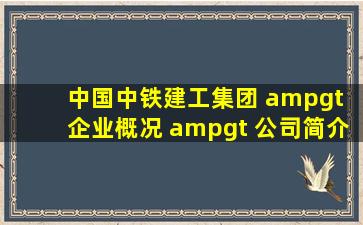 中国中铁建工集团 > 企业概况 > 公司简介 > 组织机构 