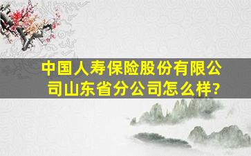 中国人寿保险股份有限公司山东省分公司怎么样?