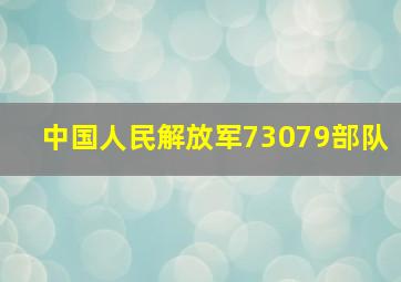 中国人民解放军73079部队