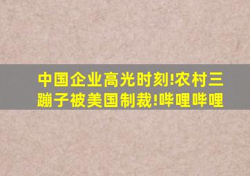 中国企业高光时刻!农村三蹦子被美国制裁!哔哩哔哩