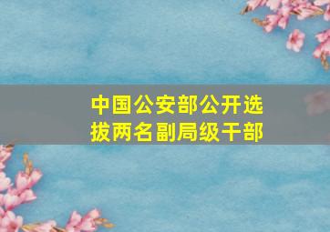 中国公安部公开选拔两名副局级干部