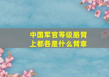 中国军官等级胳臂上都各是什么臂章