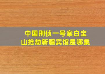 中国刑侦一号案白宝山抢劫新疆宾馆是哪集