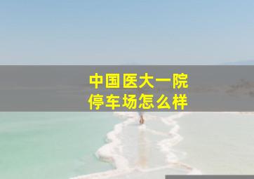 中国医大一院停车场怎么样