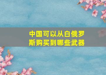 中国可以从白俄罗斯购买到哪些武器