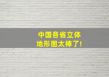 中国各省立体地形图太棒了!