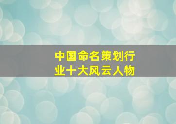 中国命名策划行业十大风云人物