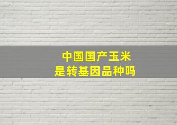 中国国产玉米是转基因品种吗