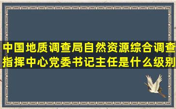 中国地质调查局自然资源综合调查指挥中心党委书记主任是什么级别