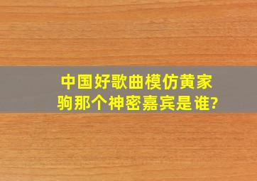 中国好歌曲模仿黄家驹那个神密嘉宾是谁?