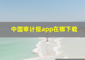 中国审计报app在哪下载