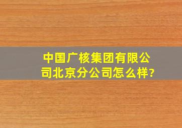 中国广核集团有限公司北京分公司怎么样?