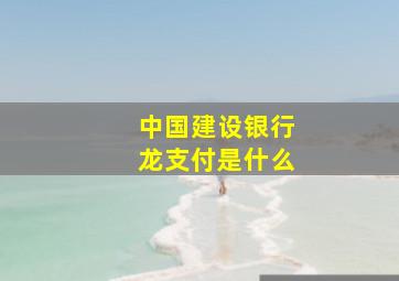 中国建设银行龙支付是什么