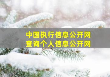 中国执行信息公开网查询个人信息公开网