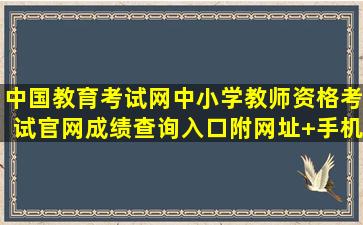 中国教育考试网中小学教师资格考试官网成绩查询入口(附网址+手机...