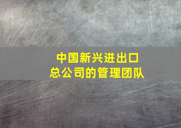 中国新兴进出口总公司的管理团队