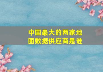 中国最大的两家地图数据供应商是谁