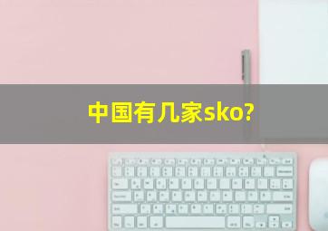 中国有几家sko?